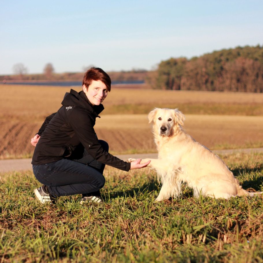 Vertrauenshunde - Hund gibt Pfote bei der Trainerin