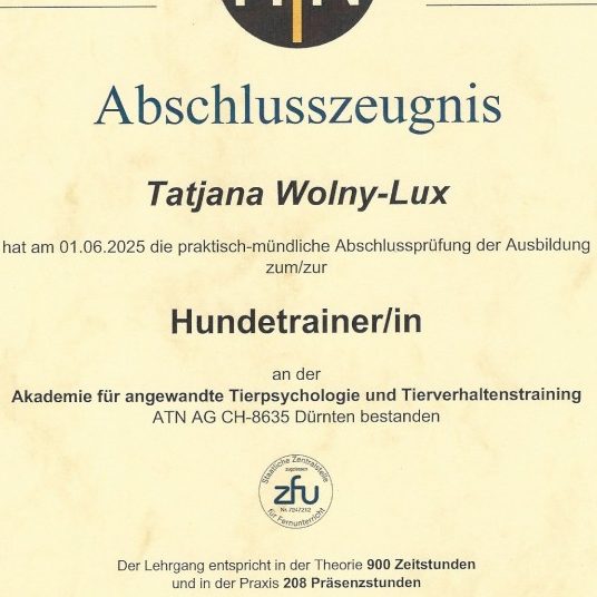 Vertrauenshunde - die Hundetrainerin Tatjana und ihr Hund gehen gemeinsam auf einem Weg spazieren 
