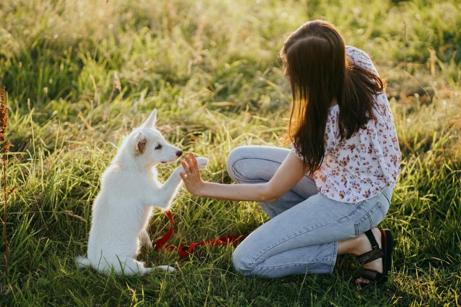 Vertrauenshunde - eine junge Frau und ein kleiner weißer Hund machen ein High Five