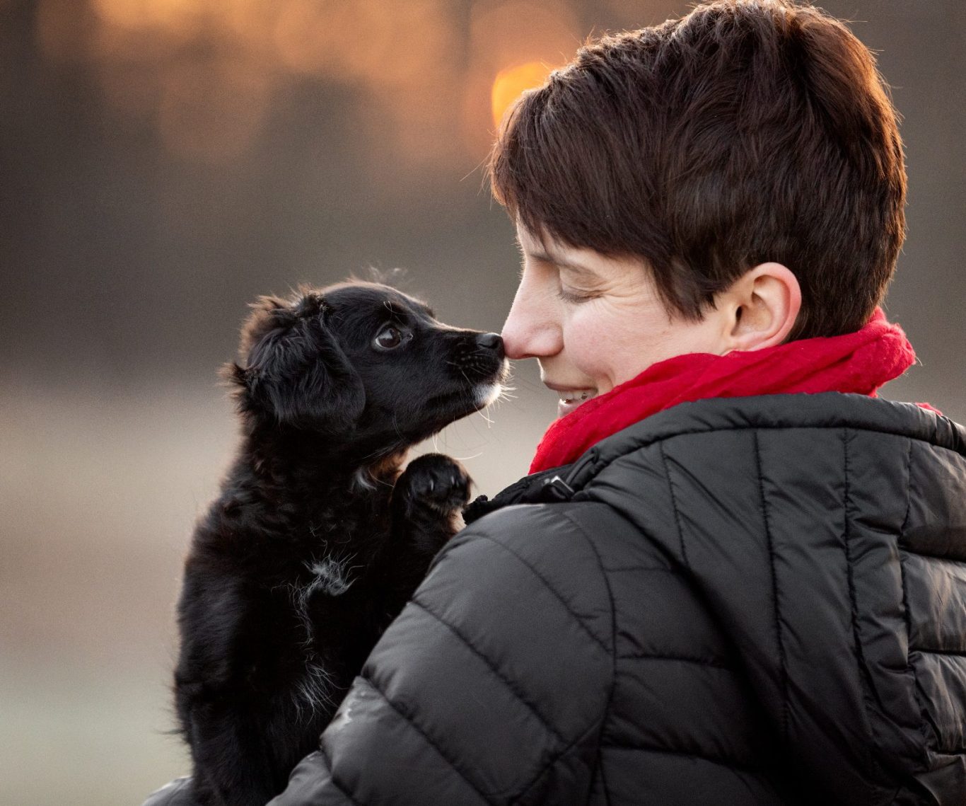 Vertrauenshunde - Hundetraining mit Tatjana