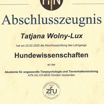 Vertrauenshunde - Hund gibt Pfote bei der Trainerin